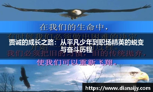 贾诚的成长之路：从平凡少年到职场精英的蜕变与奋斗历程
